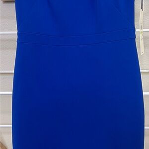 Blue Calvin Klein Women's Dress